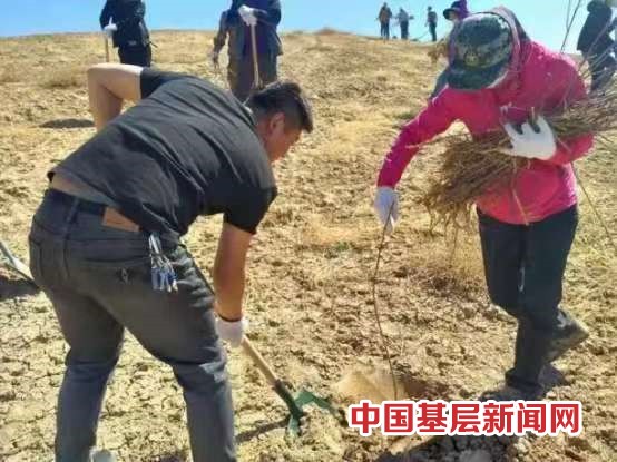 英格堡乡掀起秋季植树造林新高潮