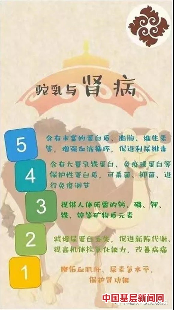 纯驼奶 才真有效