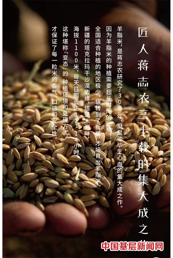 喜讯！新疆阿拉尔“羊脂籽米”在“大米界的奥运会”上获金奖   