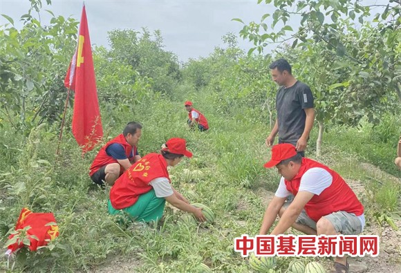 志愿服务 助农增收