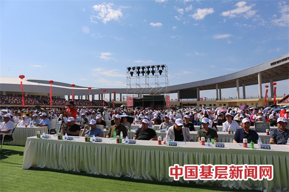 新疆塔城第八届沙湾大盘美食文化旅游节开幕