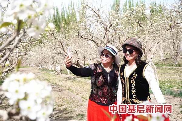 “梨花邀约 尽享芬芳”2025 年第二师铁门关市梨花系列文化旅游活动开幕