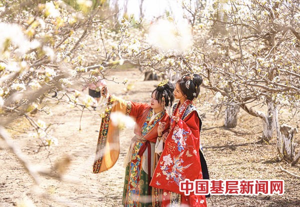 “梨花邀约 尽享芬芳”2025 年第二师铁门关市梨花系列文化旅游活动开幕