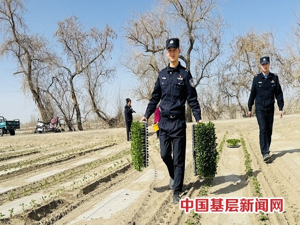 新疆和硕：警务围着农事转 服务跟着需求走