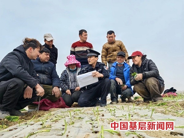 新疆和硕：警务围着农事转 服务跟着需求走